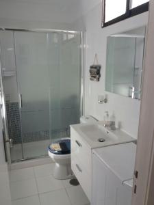 La salle de bains est pourvue d'une douche, d'un lavabo et de toilettes. dans l'établissement APARTAMENTOS BUNGAMERICA n114, à Playa de las Americas