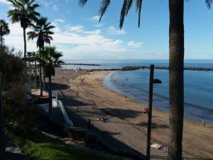 une plage avec des palmiers et des gens dans l'eau dans l'établissement APARTAMENTOS BUNGAMERICA n114, à Playa de las Americas
