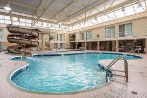皇家橡樹套房酒店游泳池或附近泳池