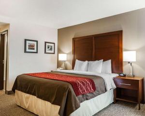 Voodi või voodid majutusasutuse Comfort Inn Denver East toas