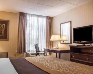 TV a/nebo společenská místnost v ubytování Comfort Inn Wethersfield - Hartford