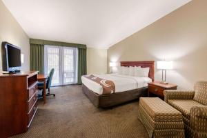 a hotel room with a bed and a desk at Quality Inn & Suites Tarpon Springs South in Tarpon Springs