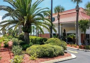a palm tree in front of a building at Quality Inn & Suites St Augustine Beach Area in Saint Augustine Beach