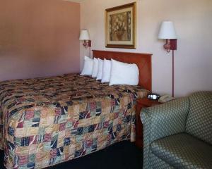 una habitación de hotel con una cama y una silla en Rodeway Inn Leesburg Chain of Lakes, en Leesburg