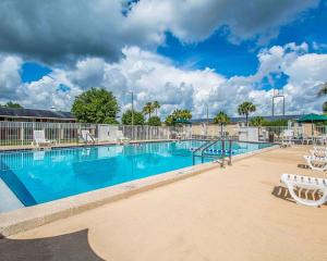 Πισίνα στο ή κοντά στο Rodeway Inn Gainesville - University Area