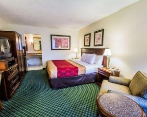 Econo Lodge Port Canaveral Area في Merritt Island: غرفة فندق بسرير وتلفزيون