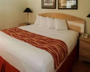 
A bed or beds in a room at Rodeway Inn South Miami - Coral Gables South Miami
