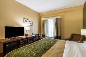 Gallery image of Comfort Inn & Suites Panama City Mall in Panama City