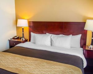 Comfort Inn & Suites Crestview في كرستفيو: سرير كبير في غرفة الفندق مع مصباحين