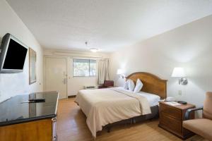 タンパにあるBay Inn On Buschのベッドとテレビがあるホテルの部屋 +17枚の写真