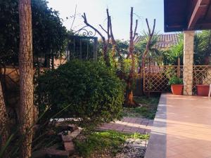 a garden with a fence and some trees and plants at AURA l.t in Fiumicino