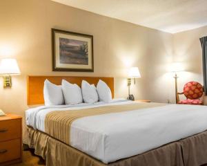 a large bed in a hotel room with two lamps at Econo Lodge Inn & Suites Columbus near Fort Benning in Columbus +21 photos