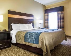 a hotel room with a large bed and a window at Comfort Inn & Suites at Stone Mountain in Stone Mountain +27 photos