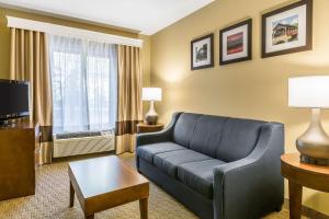 TV a/nebo společenská místnost v ubytování Comfort Inn & Suites