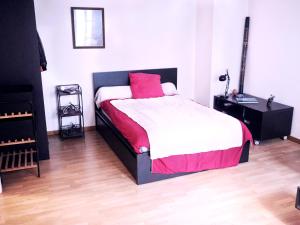 ストラスブールにあるCharmant 2P proche Hypercentreのベッドルーム1室(赤い枕付きのベッド1台付)