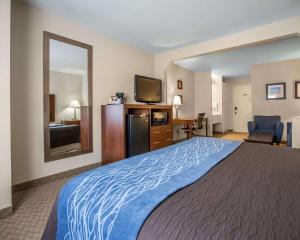 a hotel room with a large bed and a mirror at Quality Inn & Suites Dixon near I-88 in Dixon