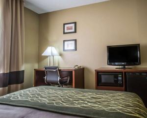 TV a/nebo společenská místnost v ubytování Comfort Inn Morris I-80