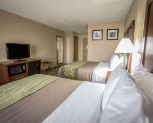 TV a/nebo společenská místnost v ubytování Comfort Inn Morris I-80