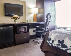 a hotel room with a bed and a desk and a chair at Sleep Inn Tinley Park I-80 near Amphitheatre-Convention Center in Tinley Park