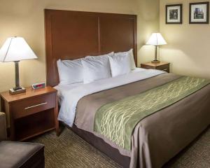 Postel nebo postele na pokoji v ubytování Comfort Inn Morris I-80