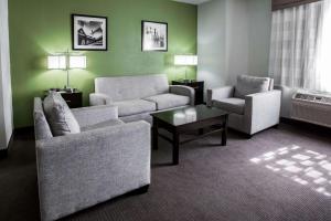 Posezení v ubytování Sleep Inn Rockford I-90