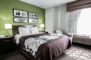 Postel nebo postele na pokoji v ubytování Sleep Inn Rockford I-90