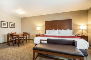 Postel nebo postele na pokoji v ubytování Comfort Inn Ottawa Starved Rock Area