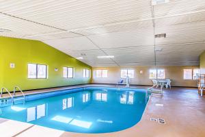 ein großer Pool in einem Zimmer mit grünen Wänden in der Unterkunft Quality Inn Carbondale University area in Carbondale