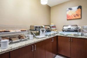 Kuchyň nebo kuchyňský kout v ubytování Comfort Inn Ottawa Starved Rock Area