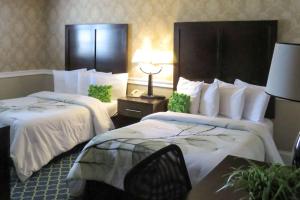 une chambre d'hôtel avec deux lits et une lampe dans l'établissement Rodeway Inn Logan International Airport, à Revere