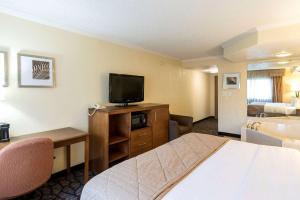 Uma televisão e/ou sistema de entretenimento em Clarion Hotel Detroit Metro Airport