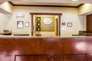 カントンにあるComfort Suites Canton - Detroitのロビー(カウンター付) +22枚の写真