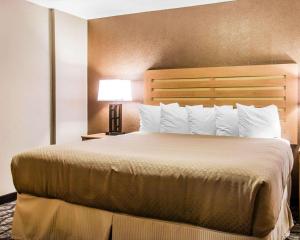 a large bed in a hotel room with a lamp at Quality Inn & Suites Warren - Detroit in Warren