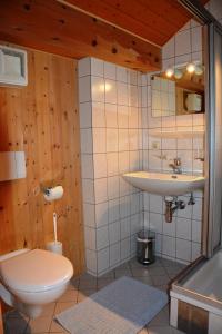 bagno con servizi igienici e lavandino di Bauernhof Schneider a Egg