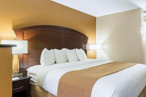 Postel nebo postele na pokoji v ubytování Quality Inn & Suites Arden Hills - Saint Paul North