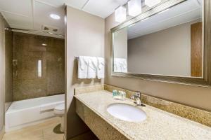 Koupelna v ubytování Quality Inn & Suites Arden Hills - Saint Paul North