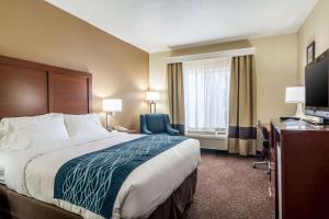 Habitación de hotel con cama y TV en Comfort Inn & Suites - Hannibal, en Hannibal