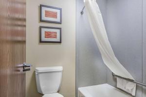 Gallery image of Comfort Inn & Suites Crystal Inn Sportsplex in Gulfport