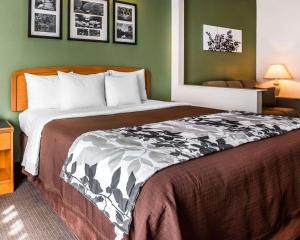 a large bed in a hotel room with green walls at Sleep Inn & Suites Albemarle in Albemarle