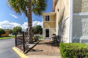 un palmier à côté d'un bâtiment avec terrasse dans l'établissement Rodeway Inn & Suites Jacksonville near Camp Lejeune, à Jacksonville