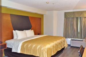 a bedroom with a bed with a gold bedspread and a window at Quality Inn & Suites Raleigh North Raleigh in Raleigh