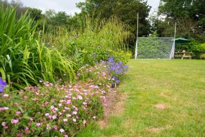 a garden with a bunch of flowers in the grass at Decoy Country Cottages in Navan