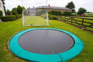 ein blaues Trampolin im Gras mit einem Ziel in der Unterkunft Decoy Country Cottages in Navan