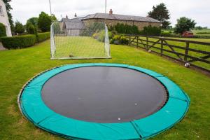a blue trampoline in the grass with a goal at Decoy Country Cottages in Navan