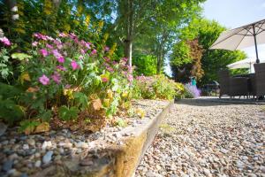 Giardino di Decoy Country Cottages