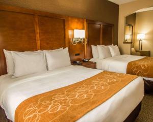 Imagen de la galería de Quality Suites NYC Gateway, en North Bergen 24 fotos más