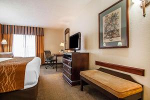 Säng eller sängar i ett rum på Comfort Inn & Suites Somerset - New Brunswick