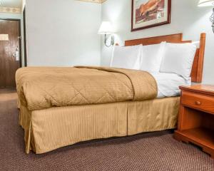 Cama grande en habitación de hotel con mesita de noche en Econo Lodge Las Cruces University Area, en Las Cruces