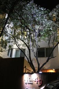 un árbol con flores blancas delante de un edificio en Crib 49 Guesthouse - Foreigner only, en Seúl