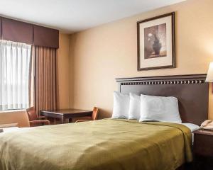 Кровать или кровати в номере Econo Lodge Elmira-Corning